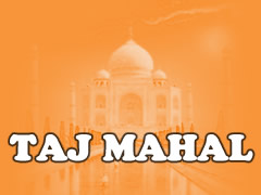 Taj Mahal Lieferservice Logo