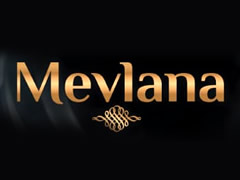 Mevlana Pide Dner und Pizza Logo