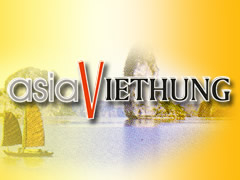 Asia Viethung Logo